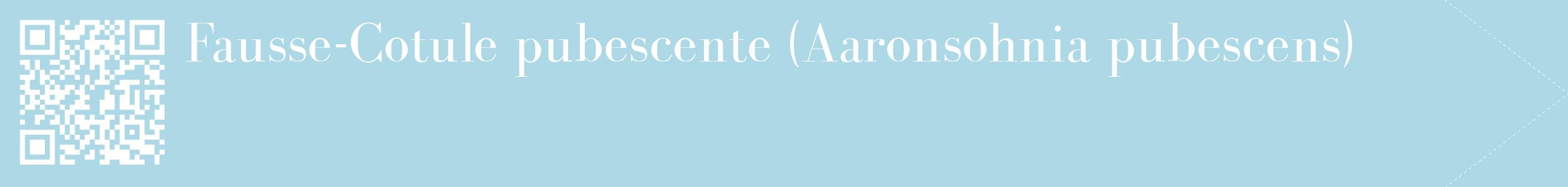 étiquette 2