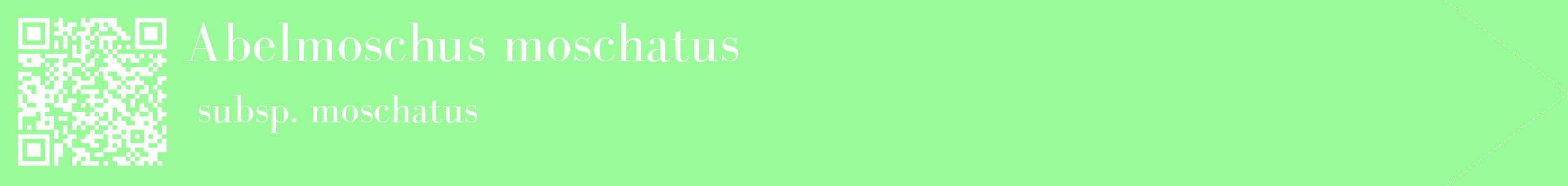 étiquette 2