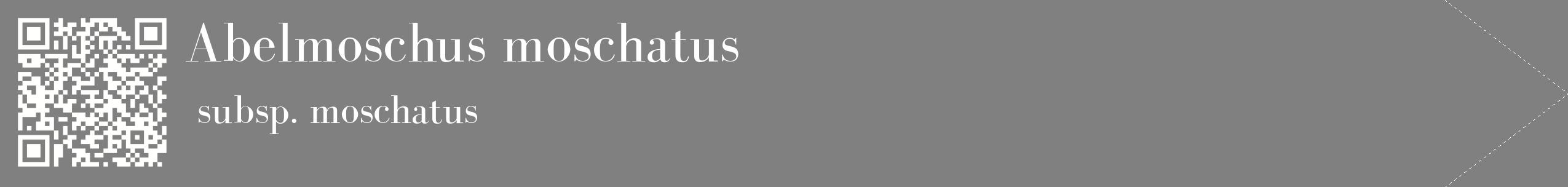 étiquette 2