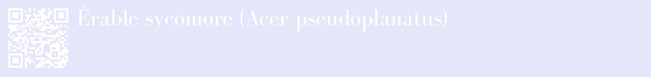 étiquette 2