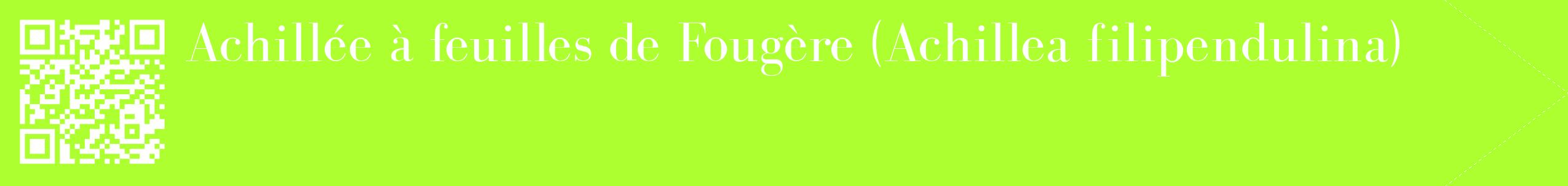 étiquette 2