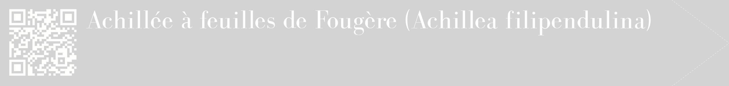 étiquette 2