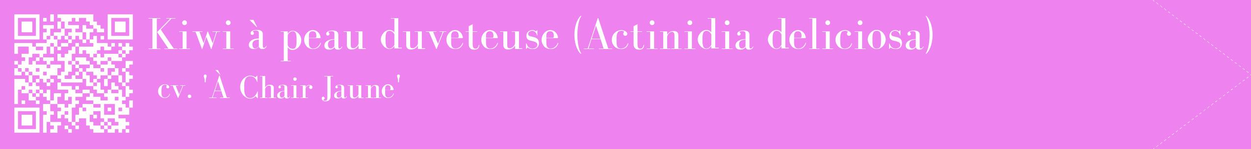 étiquette 2
