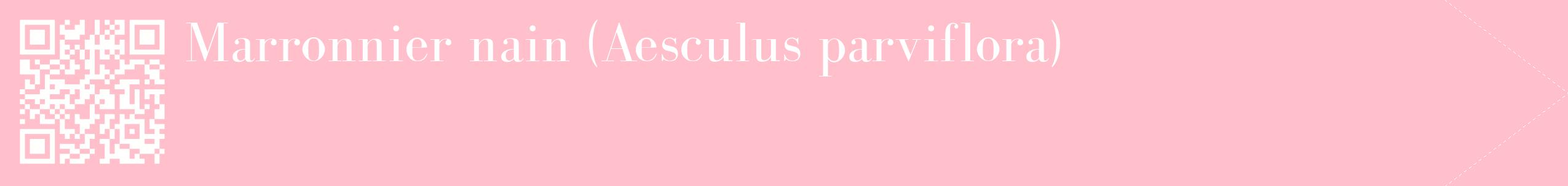étiquette 2