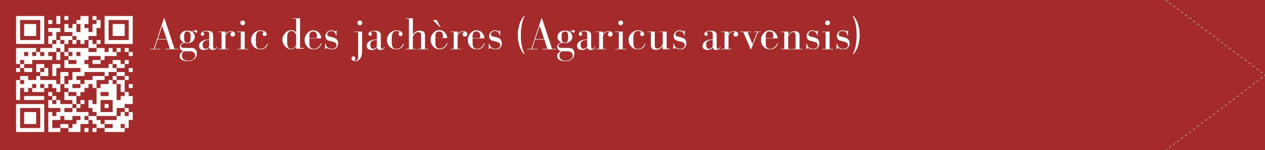 étiquette 2