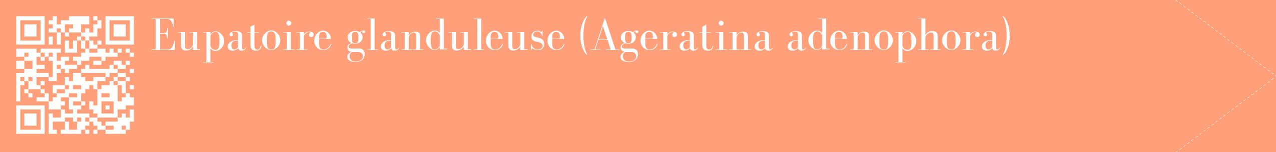 étiquette 2
