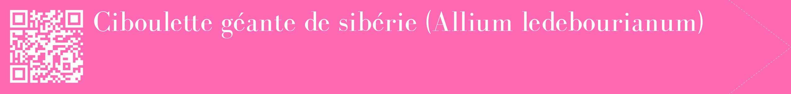 étiquette 2