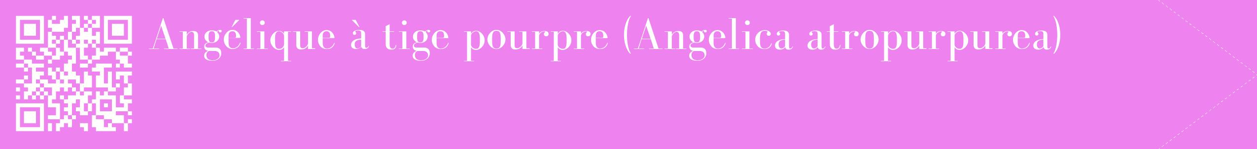 étiquette 2