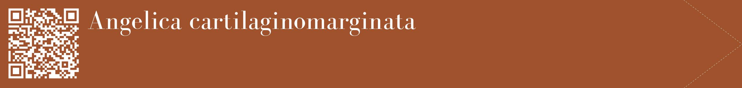 étiquette 2