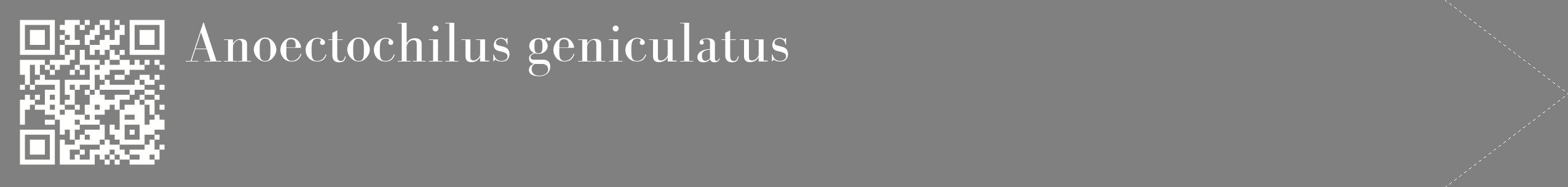 étiquette 2