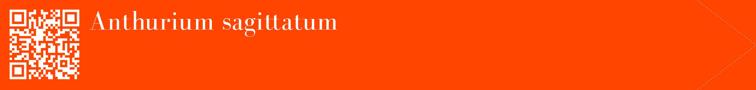 étiquette 2