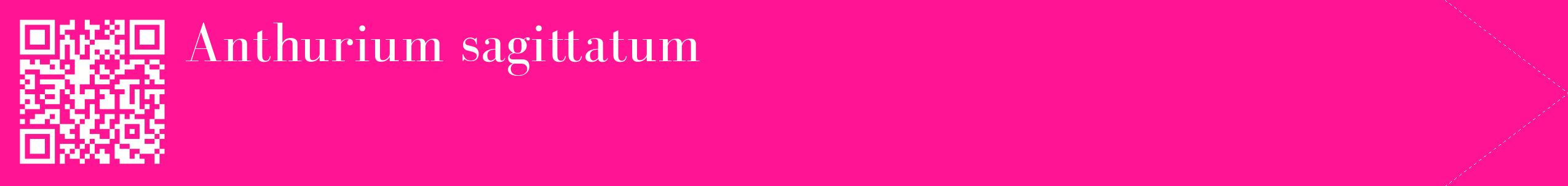 étiquette 2