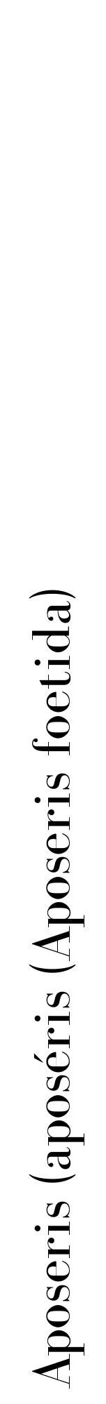 étiquette 2