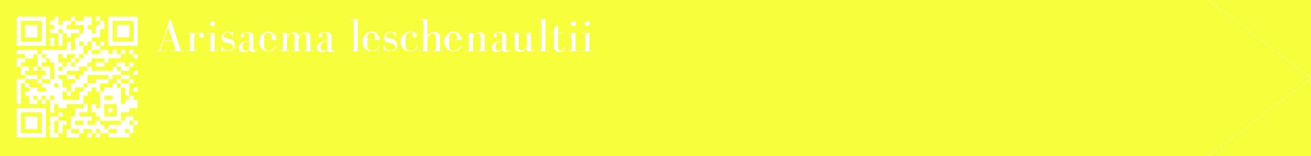 étiquette 2