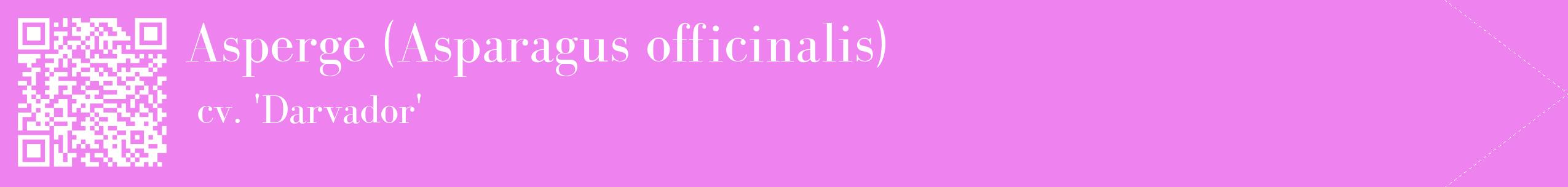 étiquette 2