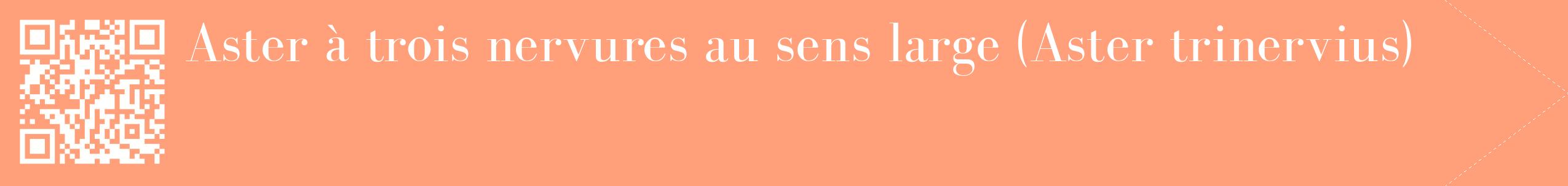 étiquette 2