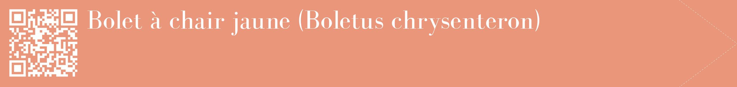étiquette 2