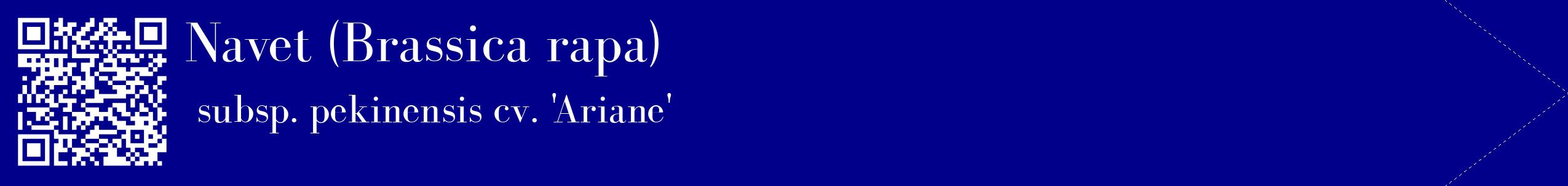 étiquette 2