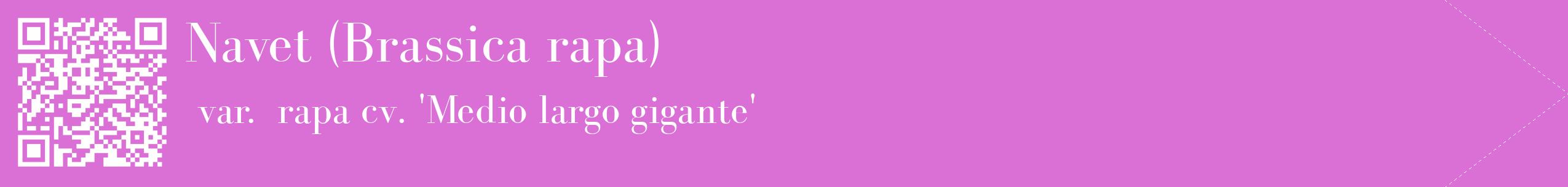 étiquette 2