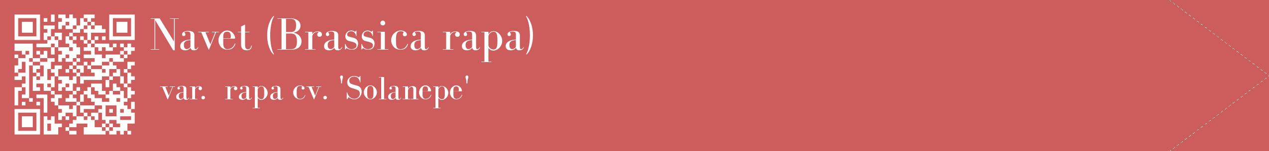 étiquette 2