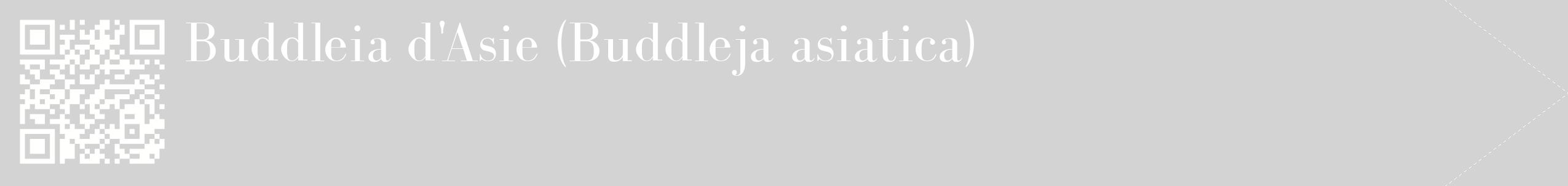 étiquette 2
