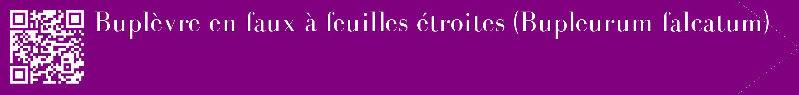 étiquette 2