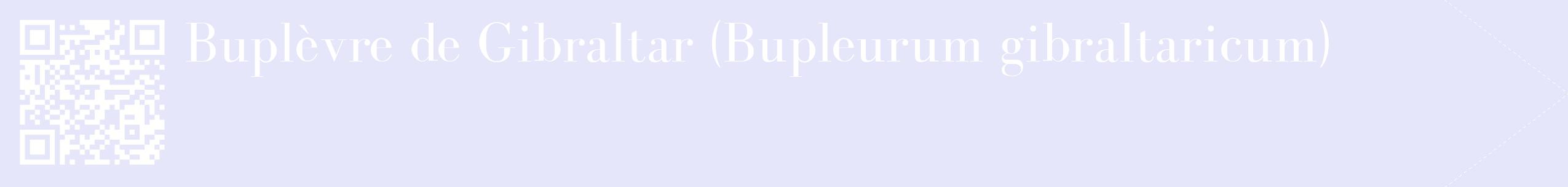étiquette 2