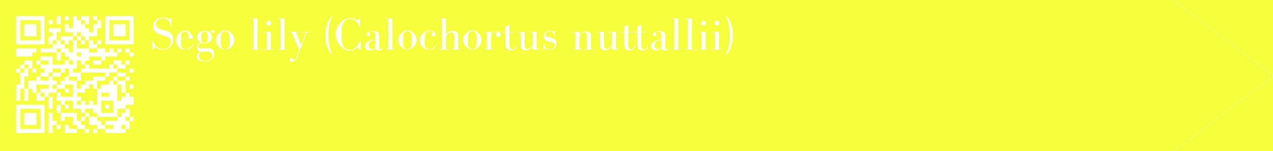 étiquette 2