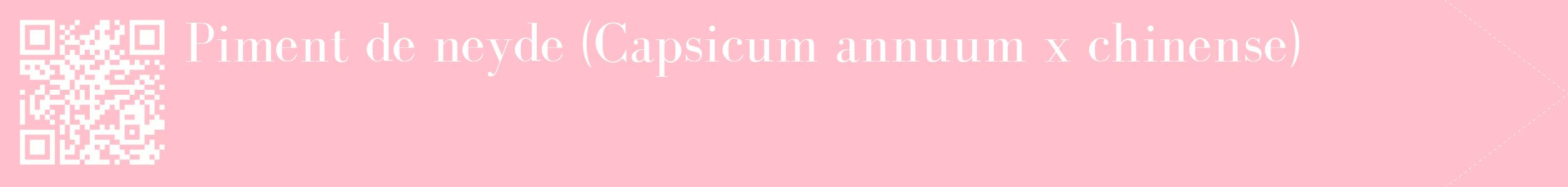 étiquette 2