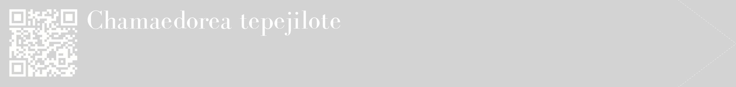 étiquette 2
