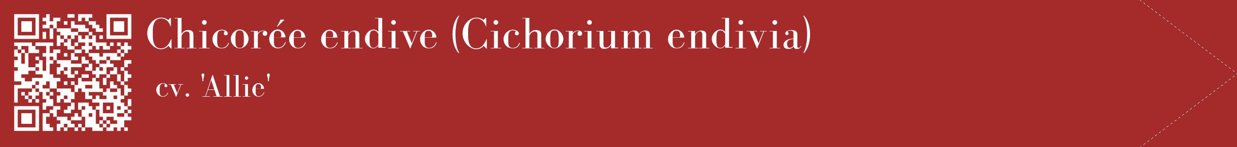 étiquette 2