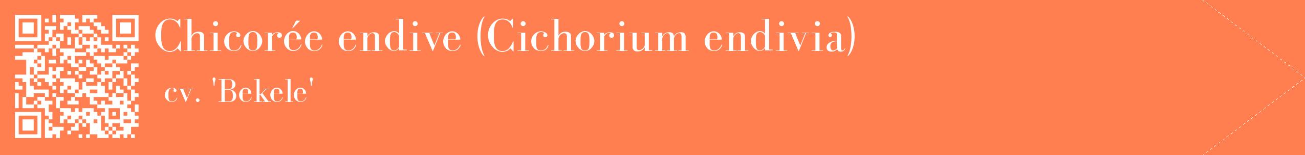 étiquette 2