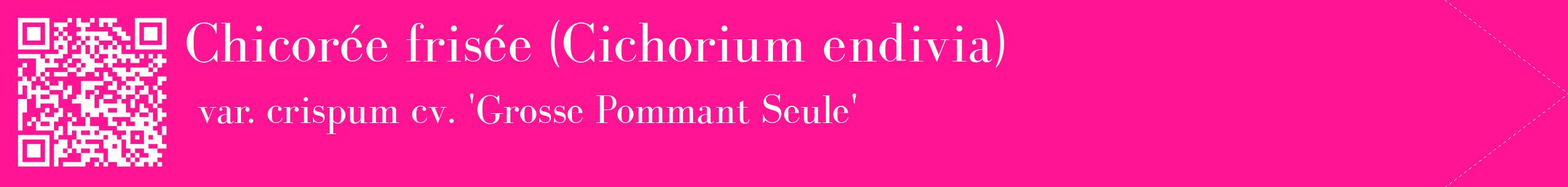 étiquette 2