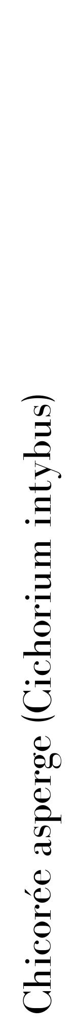 étiquette 2