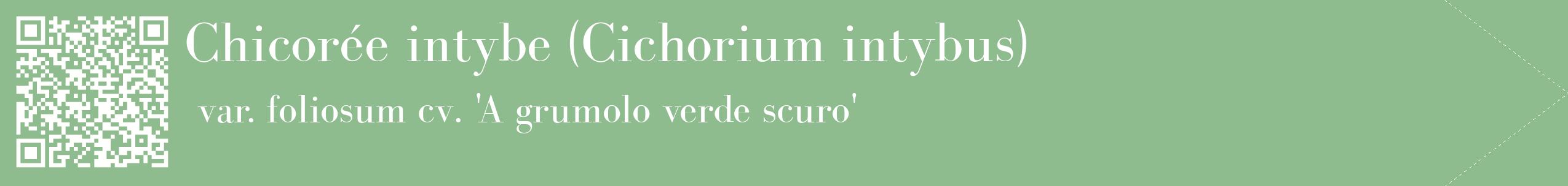 étiquette 2