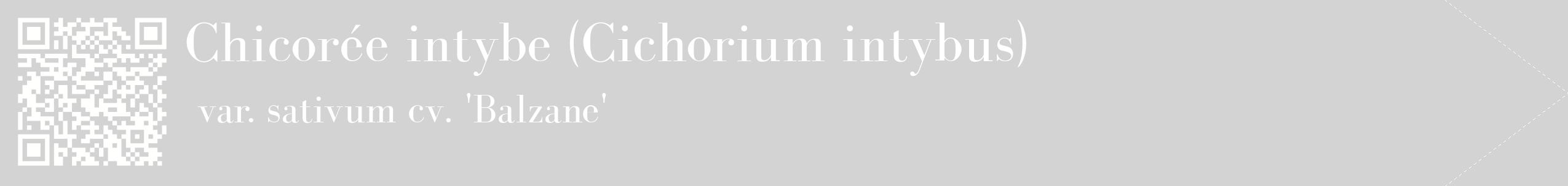 étiquette 2