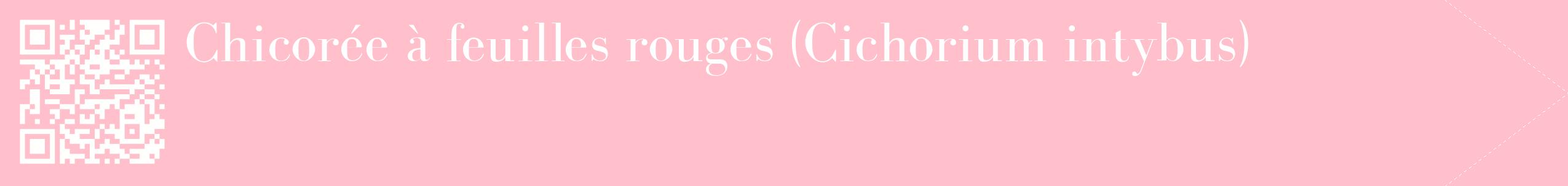 étiquette 2