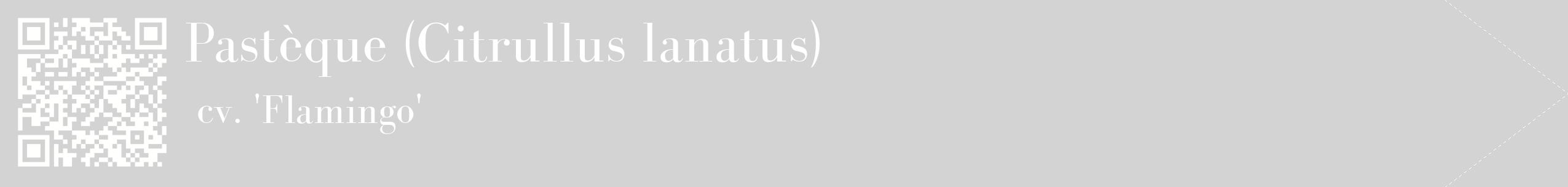 étiquette 2