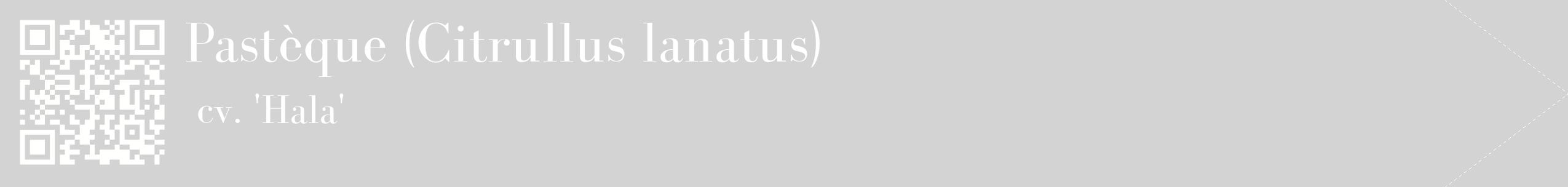 étiquette 2