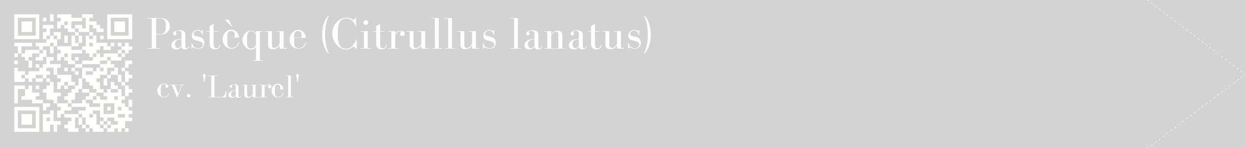 étiquette 2