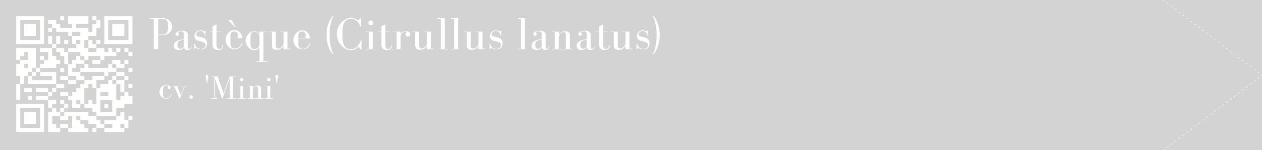 étiquette 2