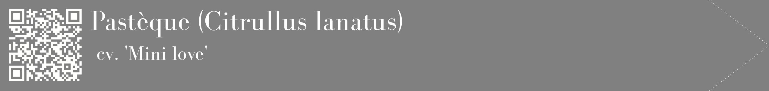 étiquette 2