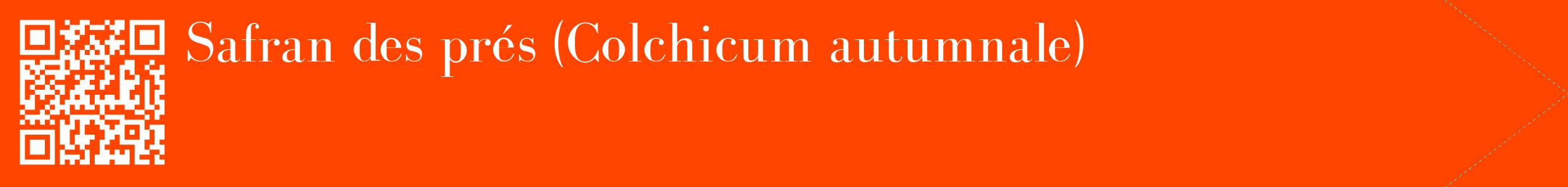 étiquette 2