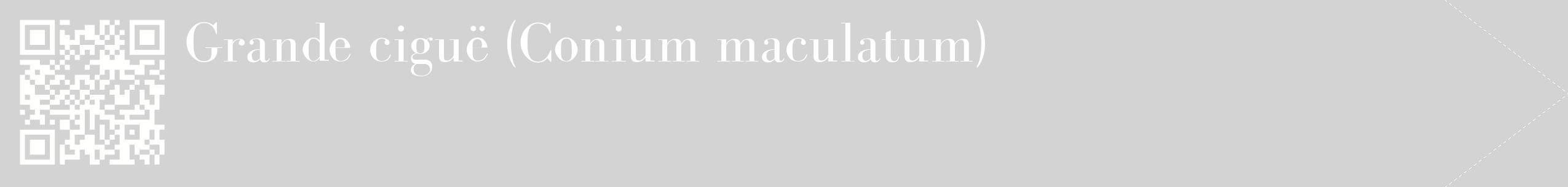étiquette 2