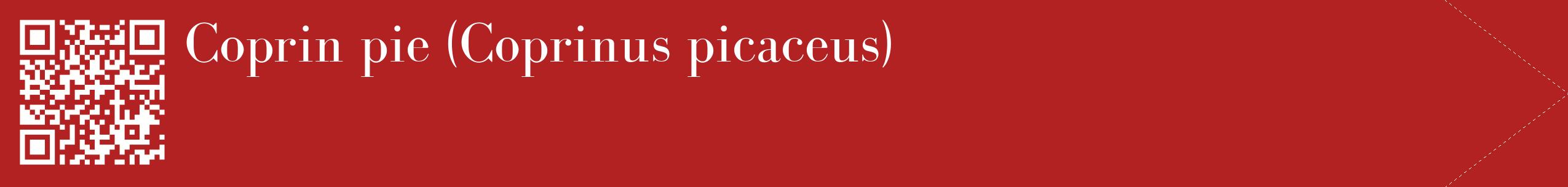 étiquette 2
