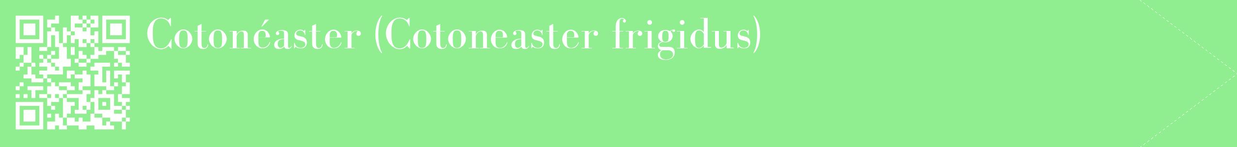 étiquette 2