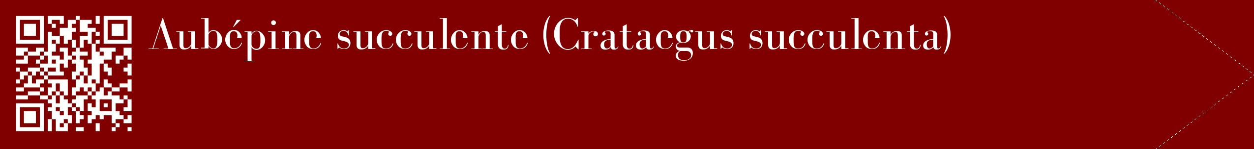 étiquette 2