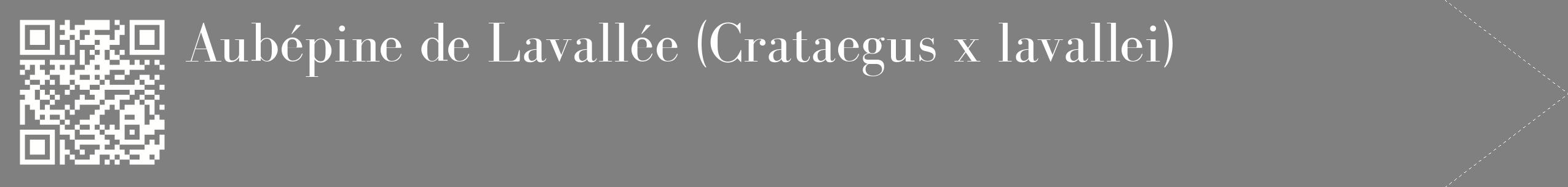 étiquette 2