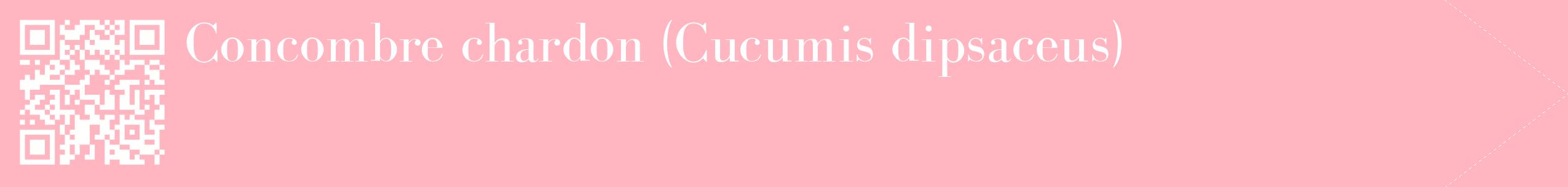 étiquette 2