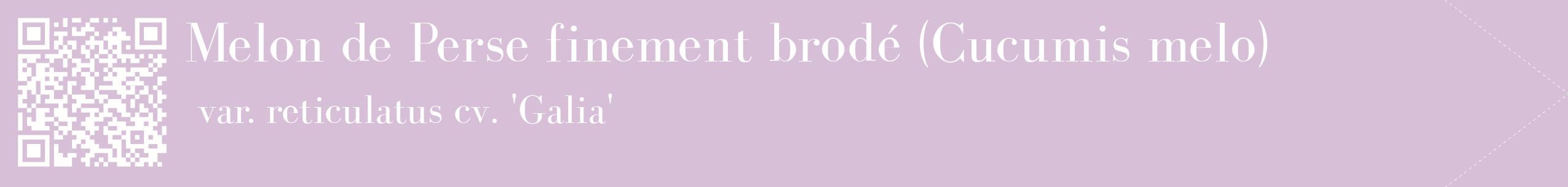 étiquette 2